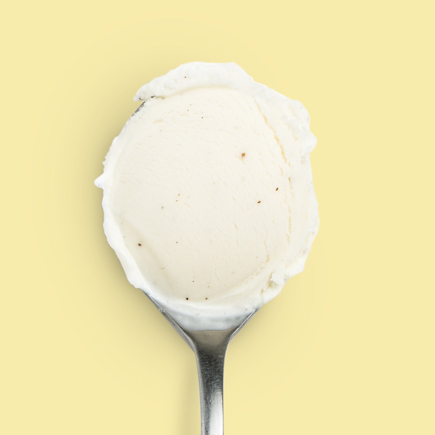 Honey Vanilla Bean - Image 4