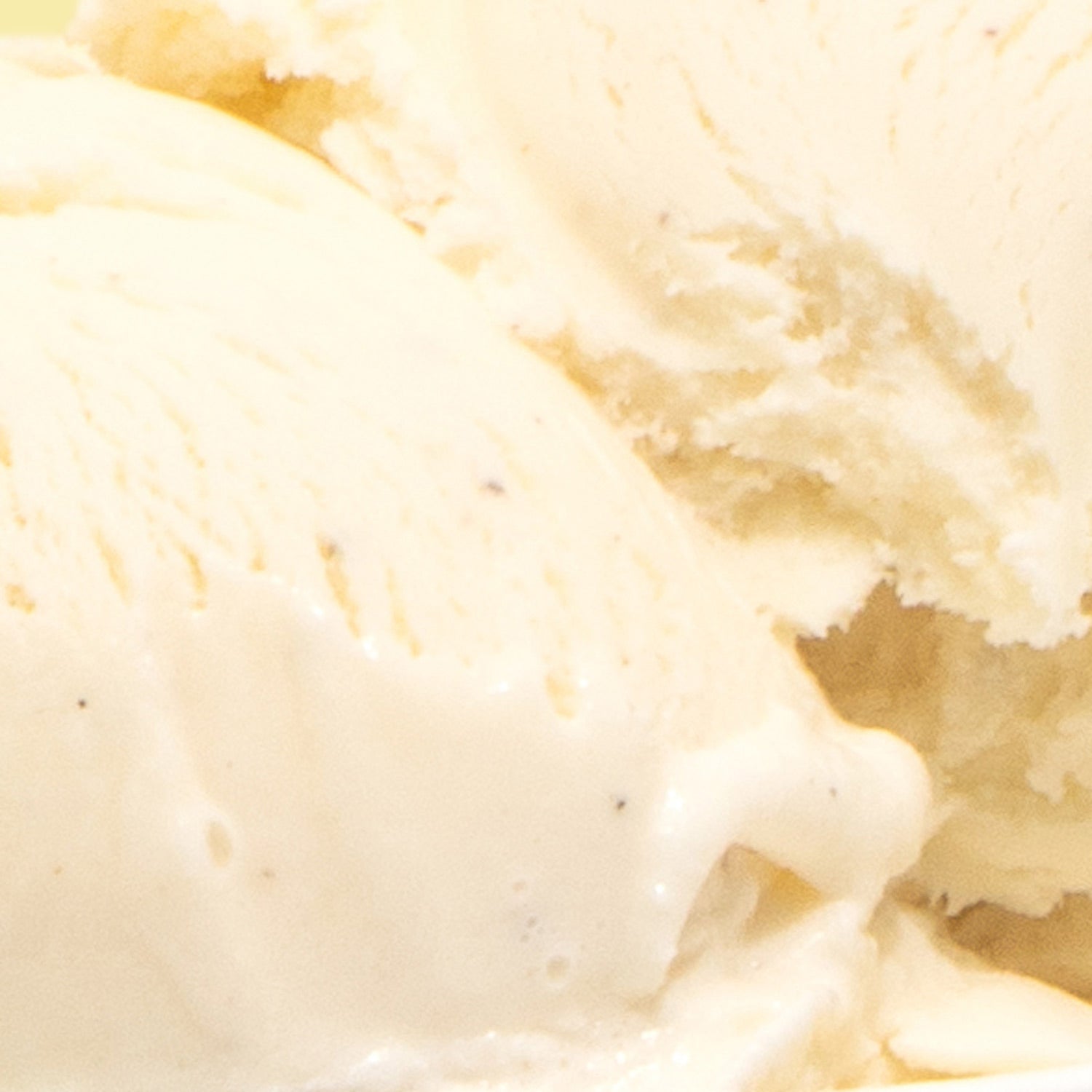Alternative view of Honey Vanilla Bean